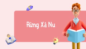 Ngữ Văn 12: Phân Tích Rừng Xà Nu – Nguyễn Trung Thành