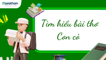 Soạn văn bài Con cò đầy đủ và chi tiết nhất – Ngữ văn 9