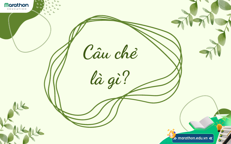 cau-che-1