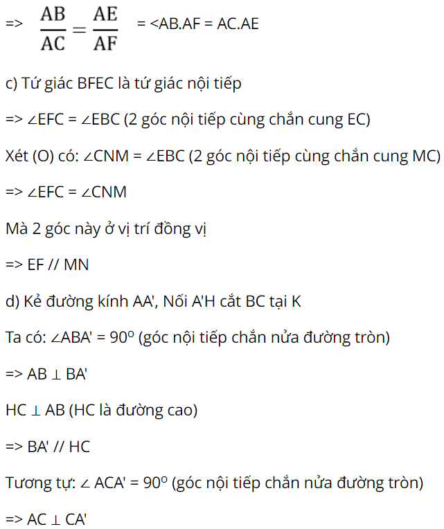 cau-5-de-1-dap-an-1