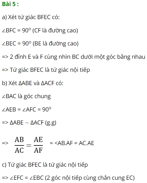 cau-5-de-2-dap-an